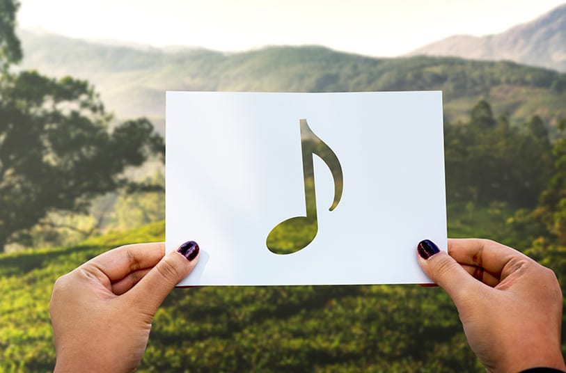 Como reducir la huella de carbono